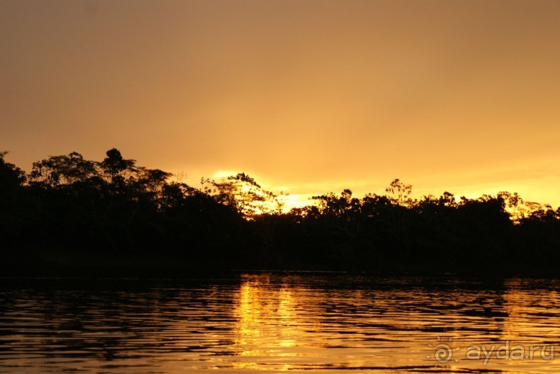 Бразилия, самостоятельные путешествия, часть 2. Манаус, Амазонка, джунгли