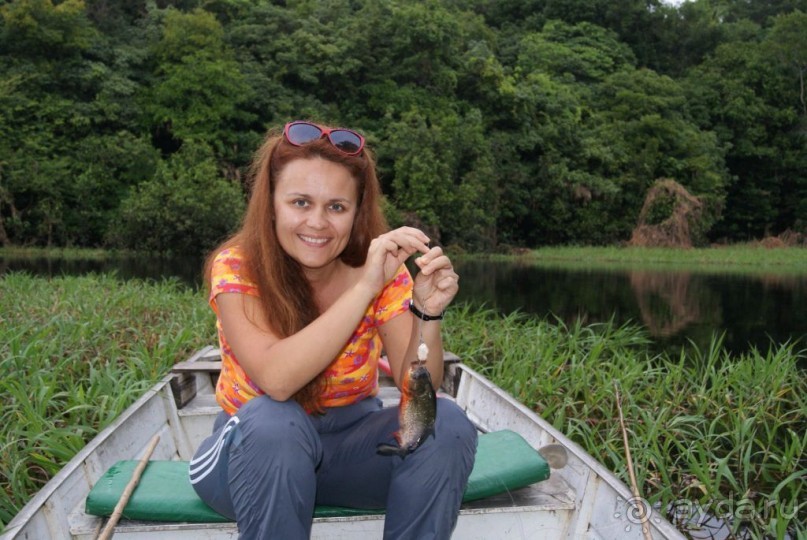 Бразилия, самостоятельные путешествия, часть 2. Манаус, Амазонка, джунгли