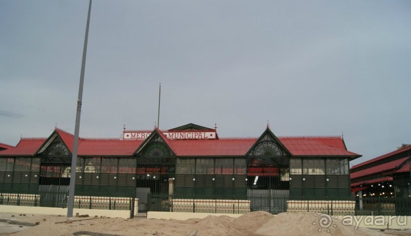 Бразилия, самостоятельные путешествия, часть 2. Манаус, Амазонка, джунгли