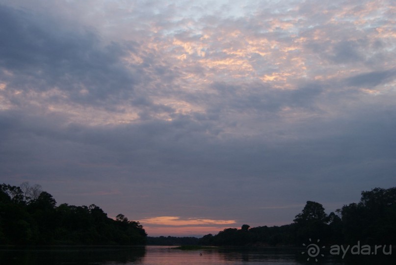 Бразилия, самостоятельные путешествия, часть 2. Манаус, Амазонка, джунгли