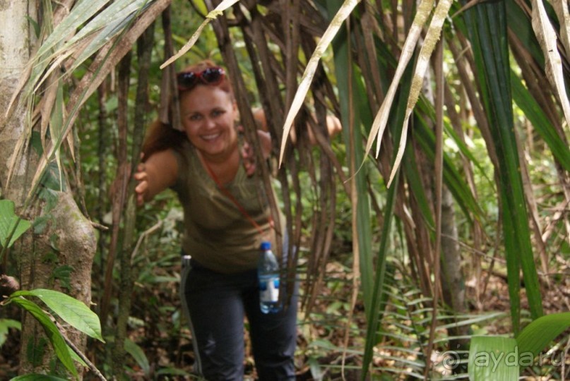 Бразилия, самостоятельные путешествия, часть 2. Манаус, Амазонка, джунгли