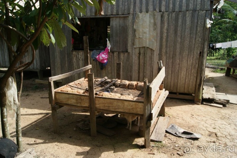 Бразилия, самостоятельные путешествия, часть 2. Манаус, Амазонка, джунгли