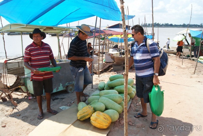 Бразилия, самостоятельные путешествия, часть 2. Манаус, Амазонка, джунгли