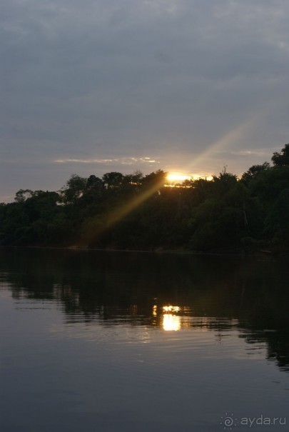 Бразилия, самостоятельные путешествия, часть 2. Манаус, Амазонка, джунгли