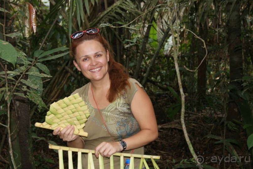 Бразилия, самостоятельные путешествия, часть 2. Манаус, Амазонка, джунгли