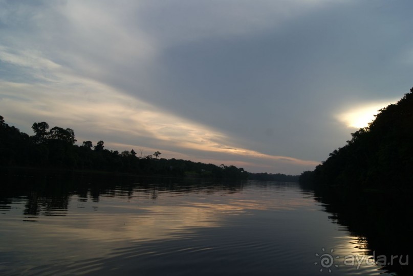 Бразилия, самостоятельные путешествия, часть 2. Манаус, Амазонка, джунгли