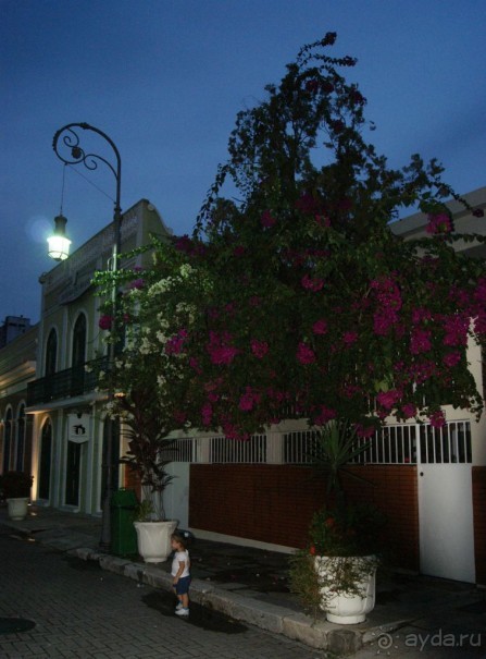 Бразилия, самостоятельные путешествия, часть 2. Манаус, Амазонка, джунгли