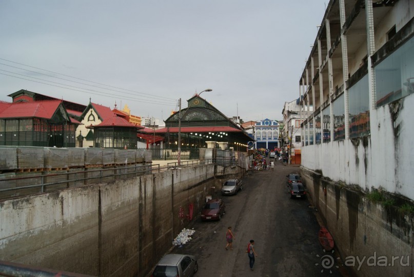 Бразилия, самостоятельные путешествия, часть 2. Манаус, Амазонка, джунгли