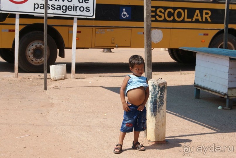 Бразилия, самостоятельные путешествия, часть 2. Манаус, Амазонка, джунгли