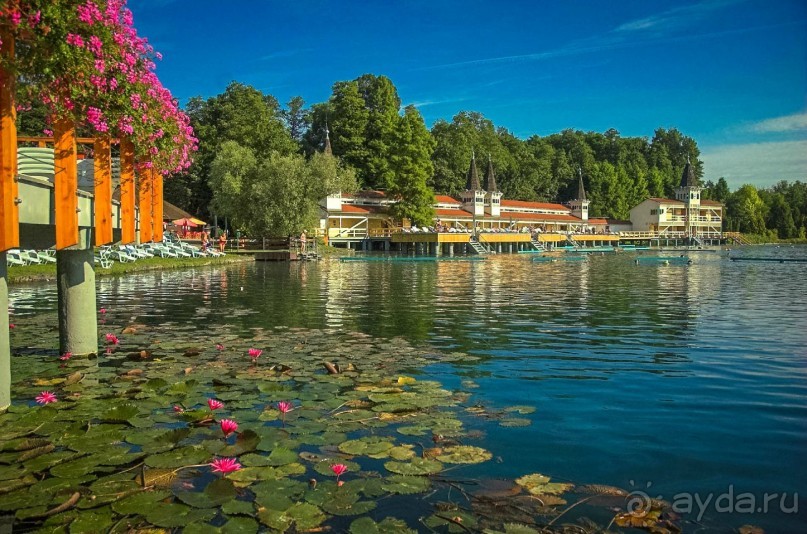 Альбом отзыва "Болят суставы, ноет спина, расшатались нервы и все раздражает? Вам срочно нужно в Хевиз!"