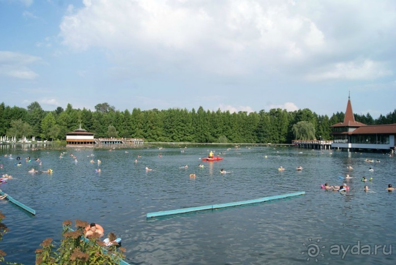 Альбом отзыва "Болят суставы, ноет спина, расшатались нервы и все раздражает? Вам срочно нужно в Хевиз!"