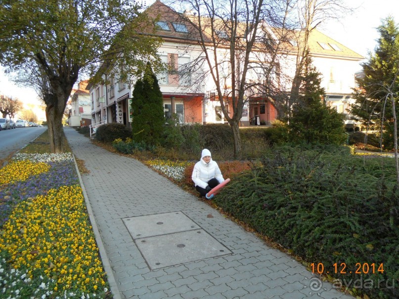 Альбом отзыва "Болят суставы, ноет спина, расшатались нервы и все раздражает? Вам срочно нужно в Хевиз!"