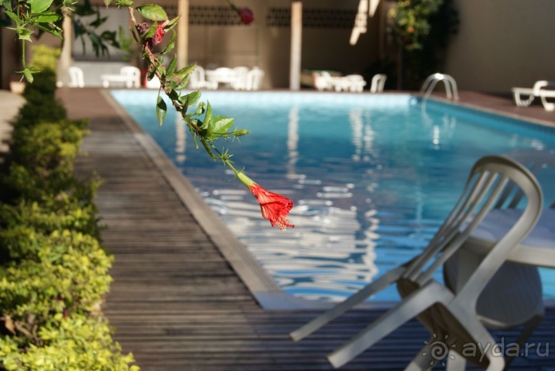 Удачное сочетание "цена-качество"