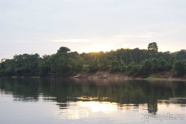 фото Dolphin Lodge