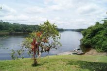 в джунглях Амазонки