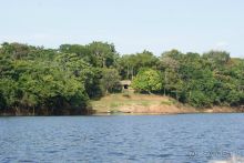 в джунглях Амазонки