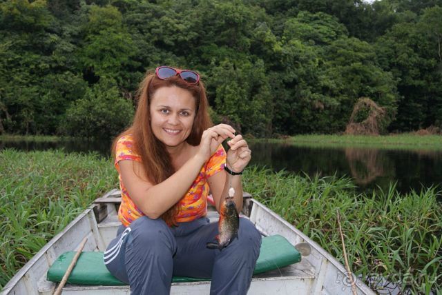 фото Dolphin Lodge