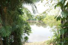 в джунглях Амазонки