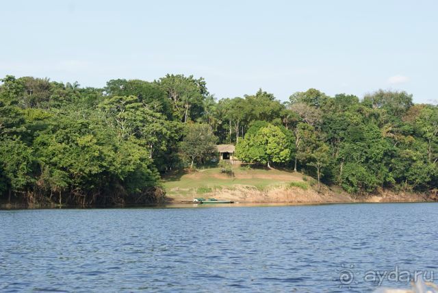 в джунглях Амазонки