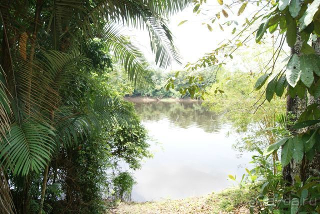 в джунглях Амазонки