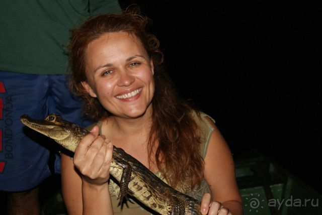 в джунглях Амазонки