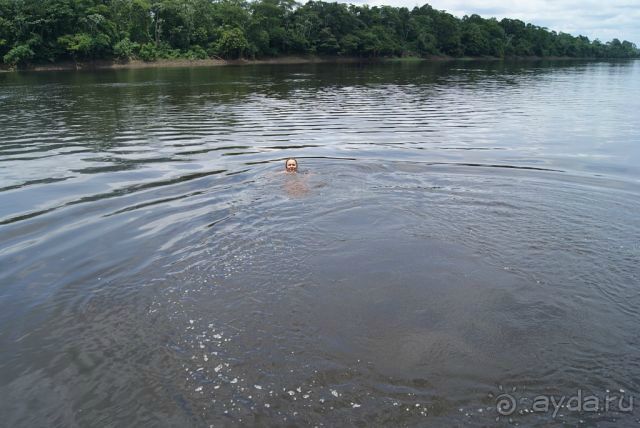 в джунглях Амазонки