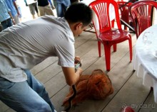 Самостоятельное путешествие по Вьетнаму и Камбодже.