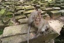 Самостоятельное путешествие по Вьетнаму и Камбодже.