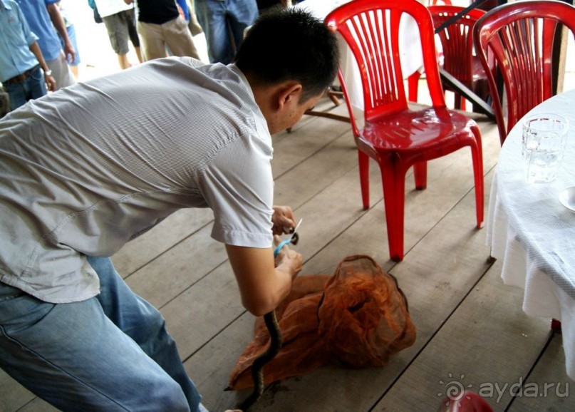 Самостоятельное путешествие по Вьетнаму и Камбодже.