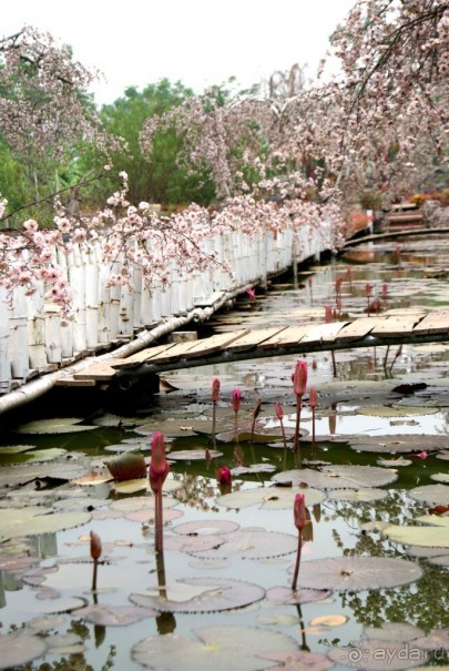 Самостоятельное путешествие по Вьетнаму и Камбодже.