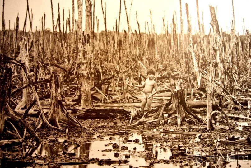 Самостоятельное путешествие по Вьетнаму и Камбодже.