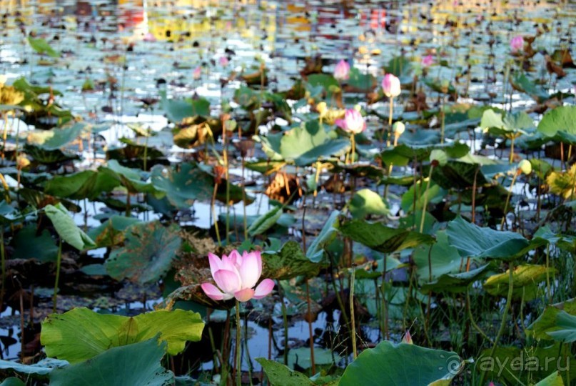 Самостоятельное путешествие по Вьетнаму и Камбодже.