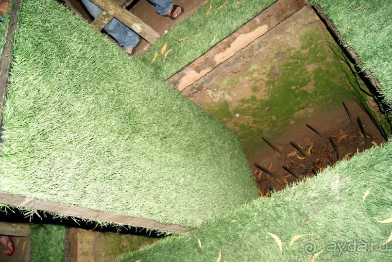 живучие вьетнамцы