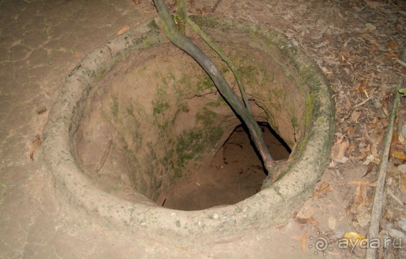 живучие вьетнамцы