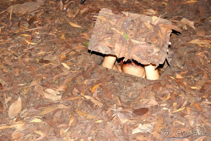 живучие вьетнамцы