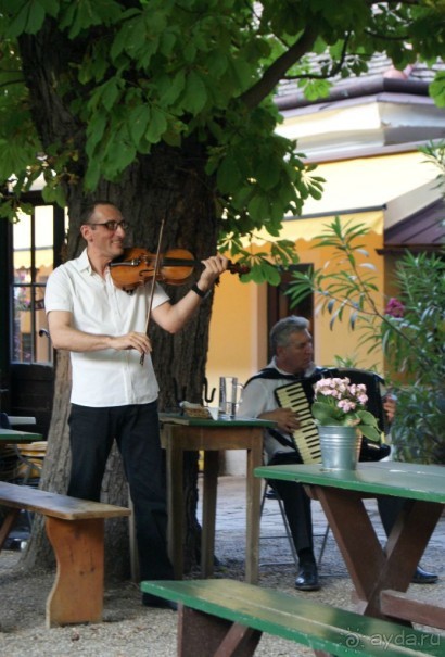 Самостоятельный осмотр достопримечательностей Вены, поездка в Братиславу и лечебный отдых в Венгрии