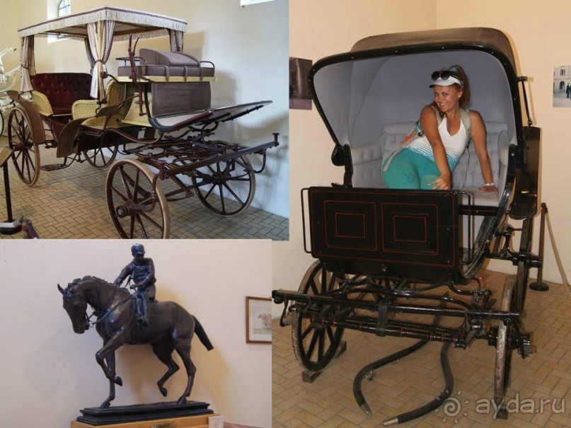 Самостоятельный осмотр достопримечательностей Вены, поездка в Братиславу и лечебный отдых в Венгрии