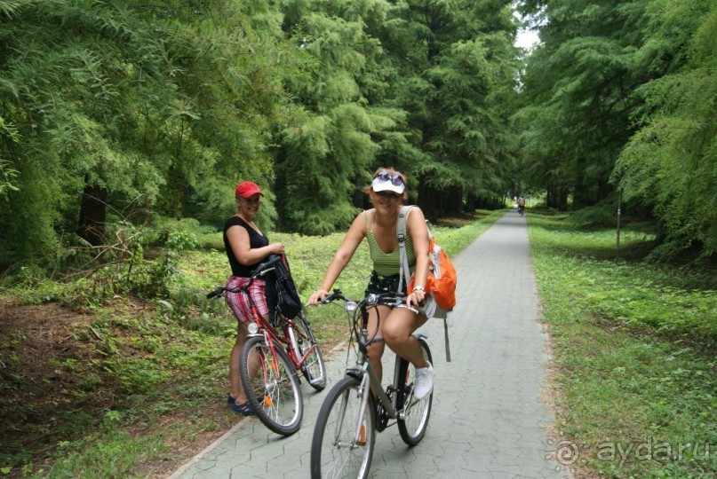 Самостоятельный осмотр достопримечательностей Вены, поездка в Братиславу и лечебный отдых в Венгрии