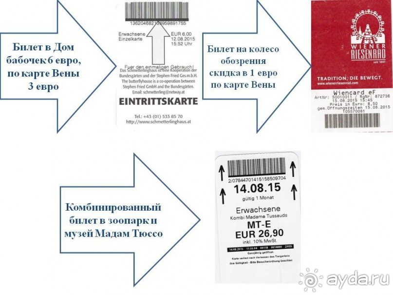Самостоятельный осмотр достопримечательностей Вены, поездка в Братиславу и лечебный отдых в Венгрии