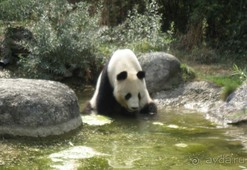 Самостоятельный осмотр достопримечательностей Вены, поездка в Братиславу и лечебный отдых в Венгрии Самостоятельный осмотр достопримечательностей Вены, поездка в Братиславу и лечебный отдых в Венгрии