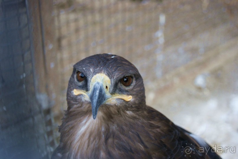 Баку-Тбилиси, опыт самостоятельных путешествий. Часть 1, Баку