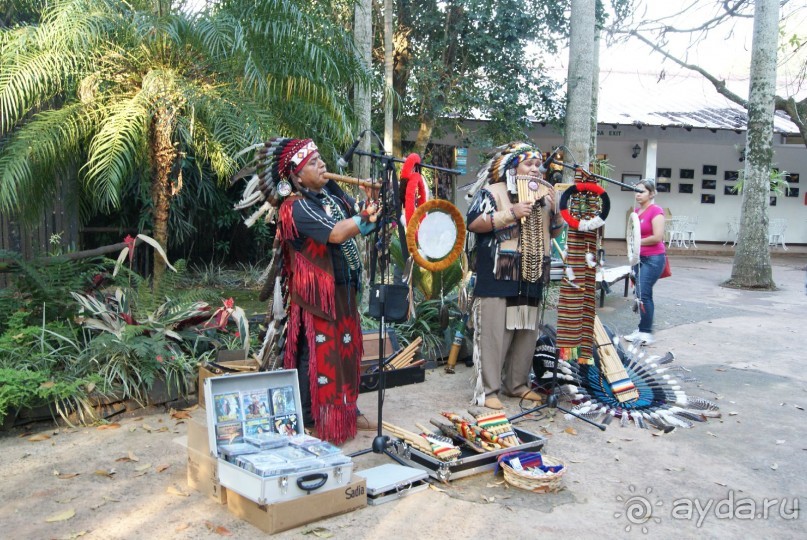 В Бразилию самостоятельно! Часть 1. Водопады Игуасу, парк птиц, Итайпу