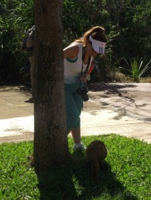 В Бразилию самостоятельно! Часть 1. Водопады Игуасу, парк птиц, Итайпу