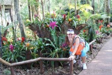 В Бразилию самостоятельно! Часть 1. Водопады Игуасу, парк птиц, Итайпу