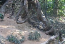 В Бразилию самостоятельно! Часть 1. Водопады Игуасу, парк птиц, Итайпу