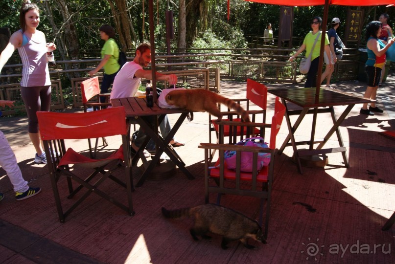 В Бразилию самостоятельно! Часть 1. Водопады Игуасу, парк птиц, Итайпу