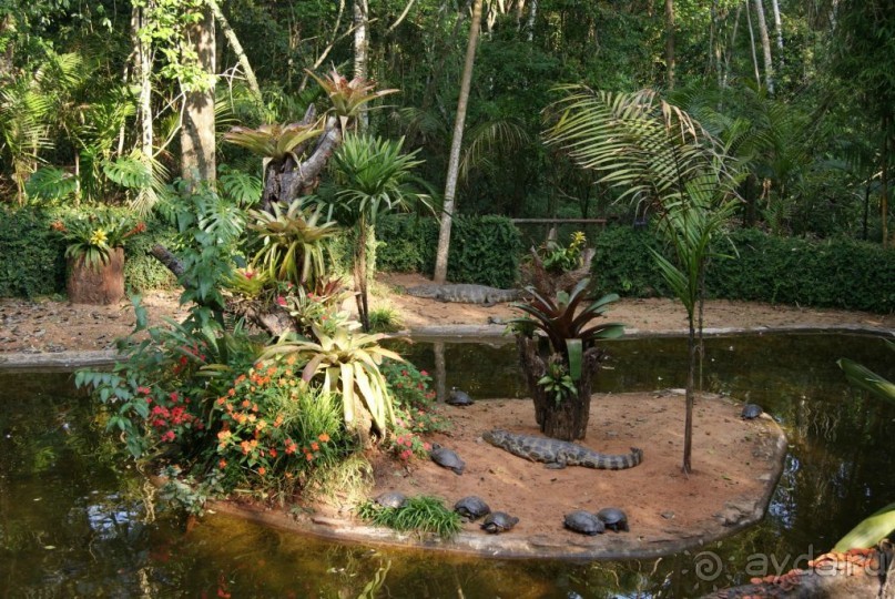 В Бразилию самостоятельно! Часть 1. Водопады Игуасу, парк птиц, Итайпу