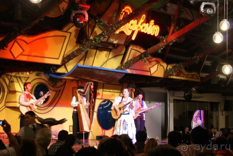 В Бразилию самостоятельно! Часть 1. Водопады Игуасу, парк птиц, Итайпу