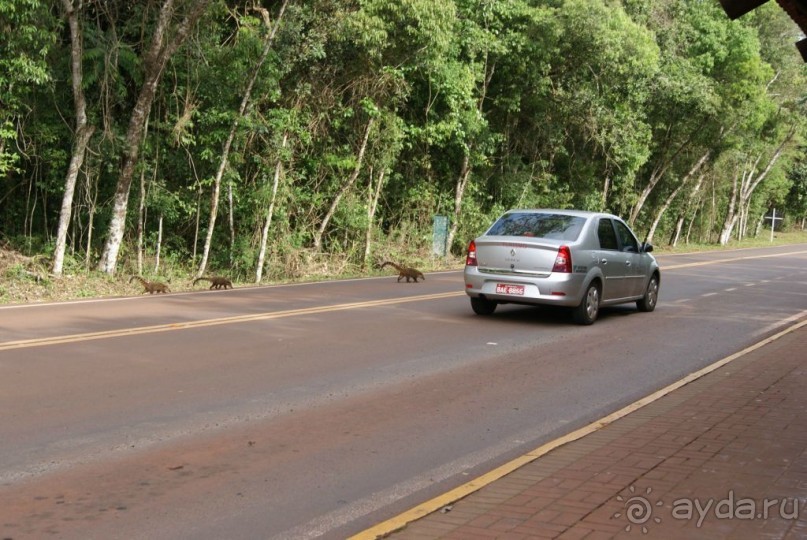В Бразилию самостоятельно! Часть 1. Водопады Игуасу, парк птиц, Итайпу