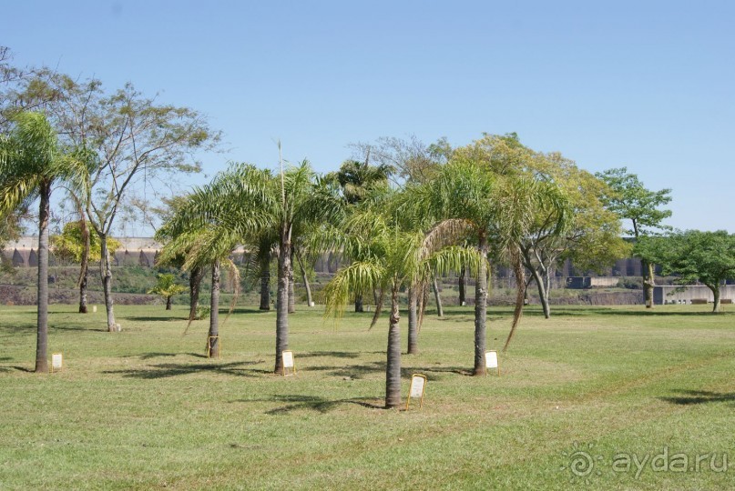 В Бразилию самостоятельно! Часть 1. Водопады Игуасу, парк птиц, Итайпу